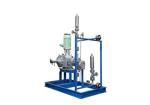 Dosing Pump into Skid-4