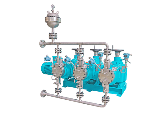 德帕姆Depamu液壓隔膜式計(jì)量泵 3DPMSZAA